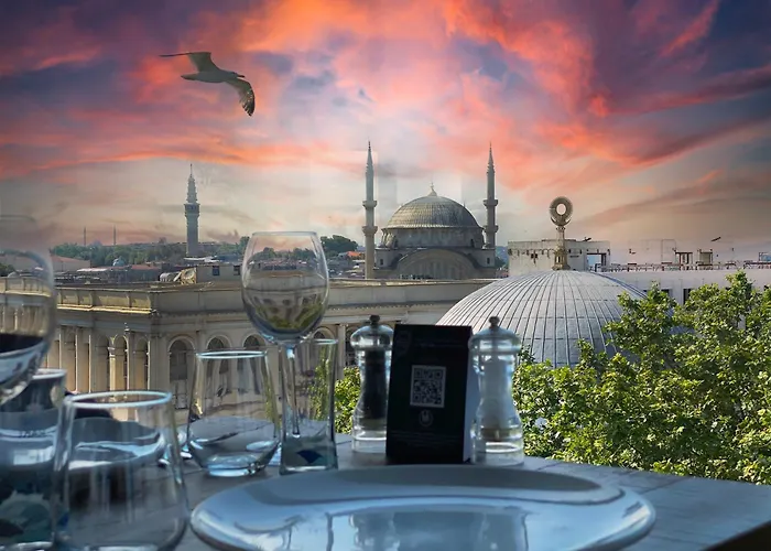 Hôtel accueillant les animaux: Ahc Ayasofya Hotel - Special Class