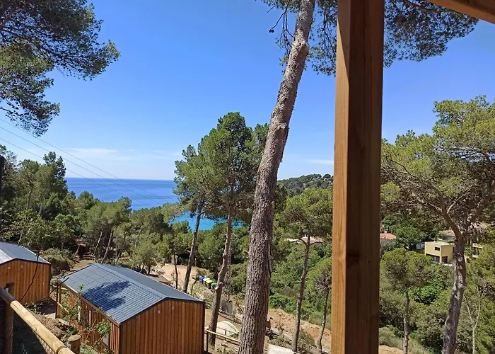 Camping: Camping Cala Llevado