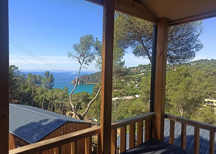 Camping: Camping Cala Llevado