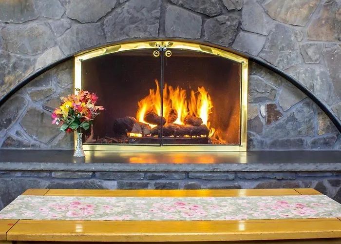 Pet Friendly hotel: Econo Lodge Inn & Suites Colonie Center Mall