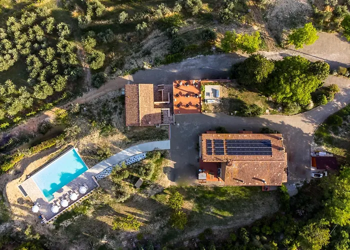  La Collina Degli Olivi