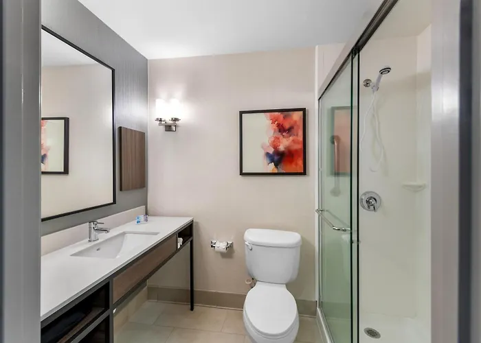 Pet Friendly hotel: Hilton Garden Inn Overland Park