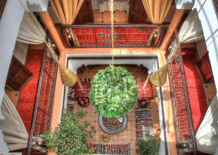Riad ELIZZI