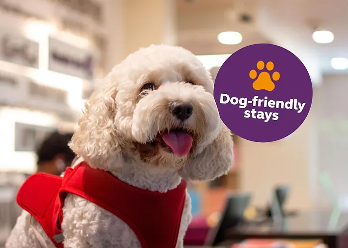 Hotel: Premier Inn Dubai Al Jaddaf