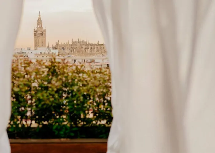 Hotel Jacuzzi: Hotel Colón Gran Meliá - The Leading Hotels of the World