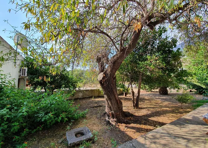 Casa vacanze: Stromboli Vacanze