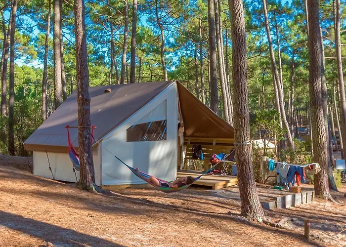 Hôtel accueillant les animaux: Wellness Sport Camping - La Dune Bleue