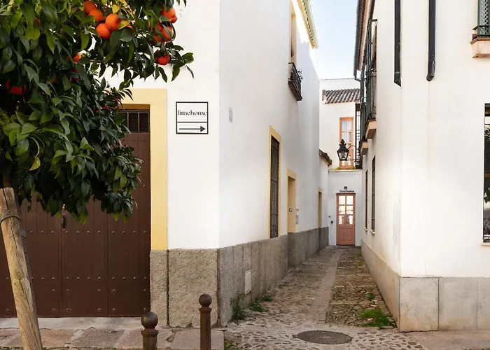 Patios De San Agustín