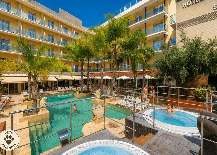 Hôtel 3 étoiles: Hotel La Palmera & Spa