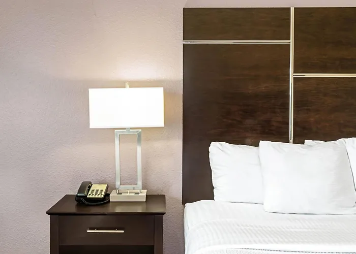 Pets Allowed Hotel La Quinta By Wyndham Denver Gateway Park