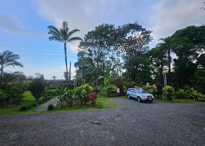 Yellow Tree Suites