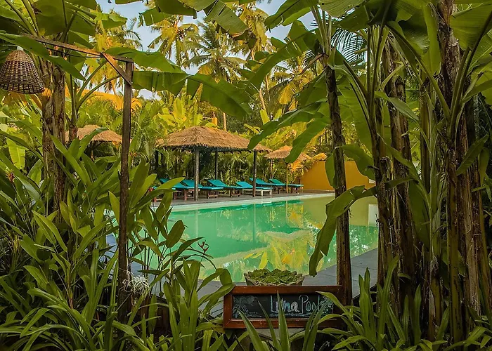 Hotel suites Justa Morjim Beach Goa - 80 Steps From Morjim Beach