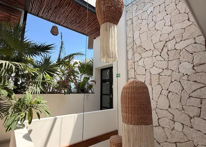Ah Xok suites 5a Avenida