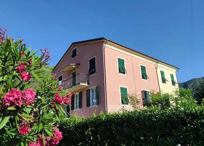  Fattore