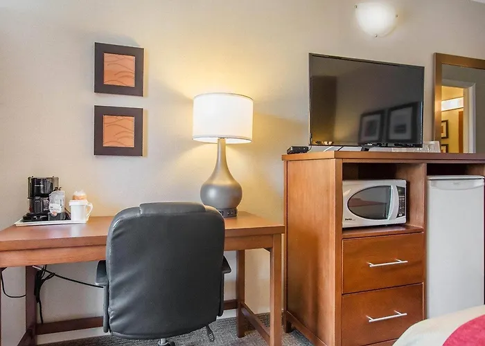 Pets Allowed Hotel Comfort