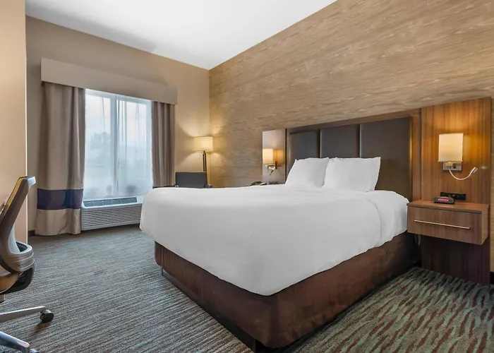 Comfort Inn & Suites Airport North