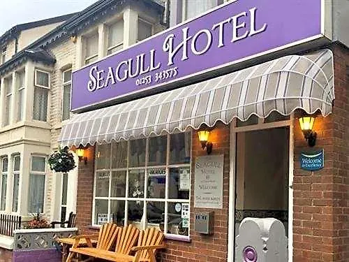 Seagull
