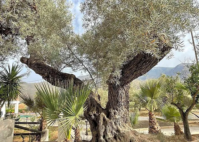 Cortijo Tayula-Centro de Recuperación y Descanso