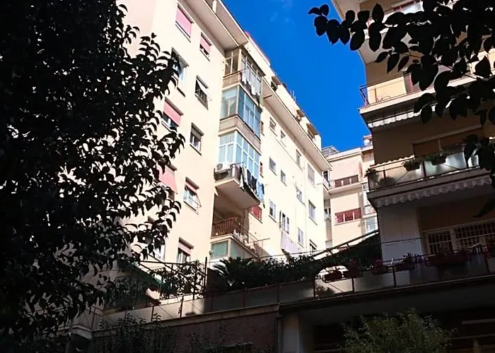  Cicicoco