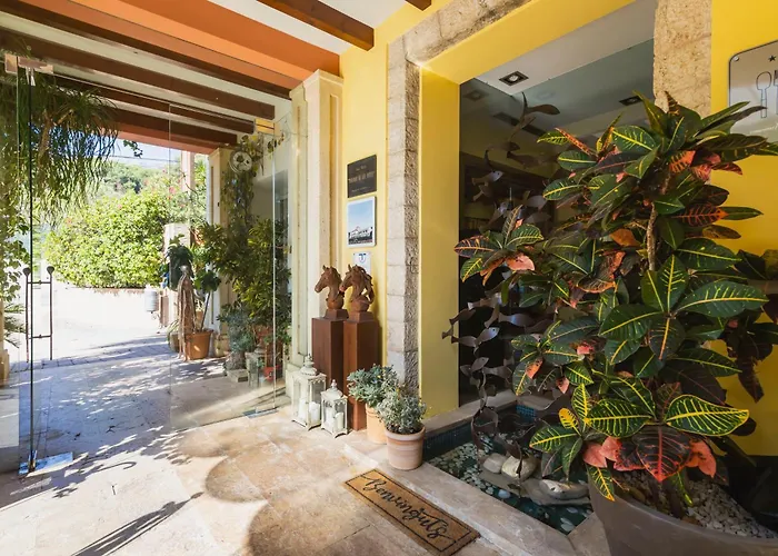 Hotel Mr Les Rotes