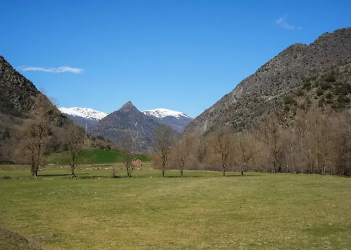  Puitavaca