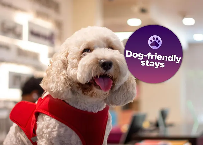 Hotel Am Premier Inn Dubai Al Jaddaf