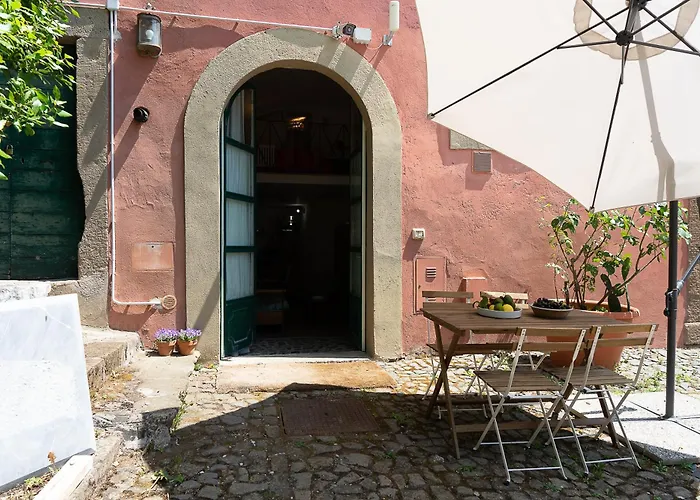  Frascati