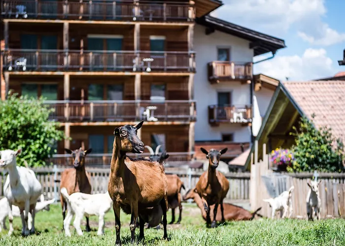 4 Sterne Hotels Exclusive
