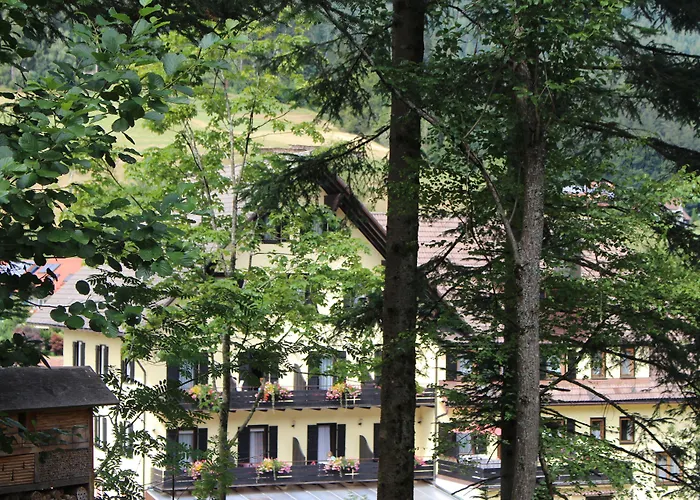 Hotel Adler Post