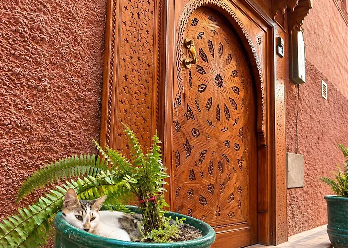 Riad Hna Ben Saleh