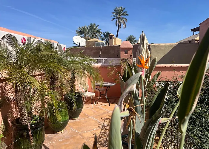 Riad Chameleon