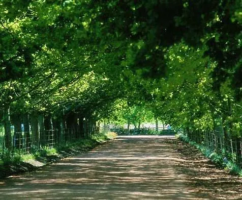 Pet Friendly hotel: Muldersvlei Estate