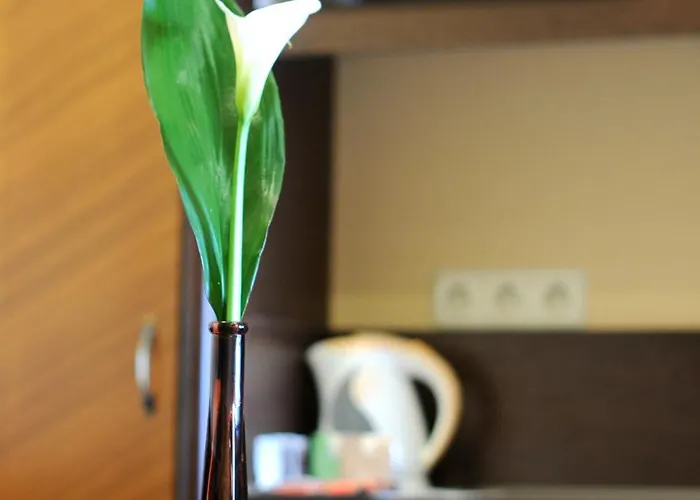 Resort: residencia Baron