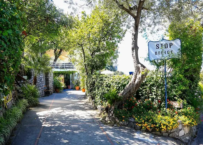 Campeggio: Camping Nube D'Argento