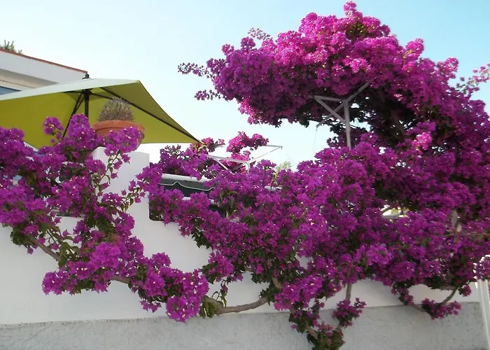 Hotel Villa Cecilia