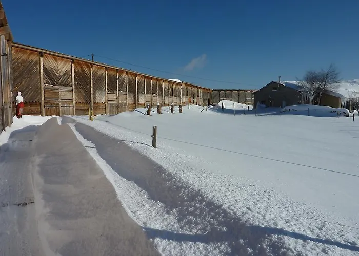 Hôtel accueillant les animaux: Gîte Equisud - Demi-pension inclus
