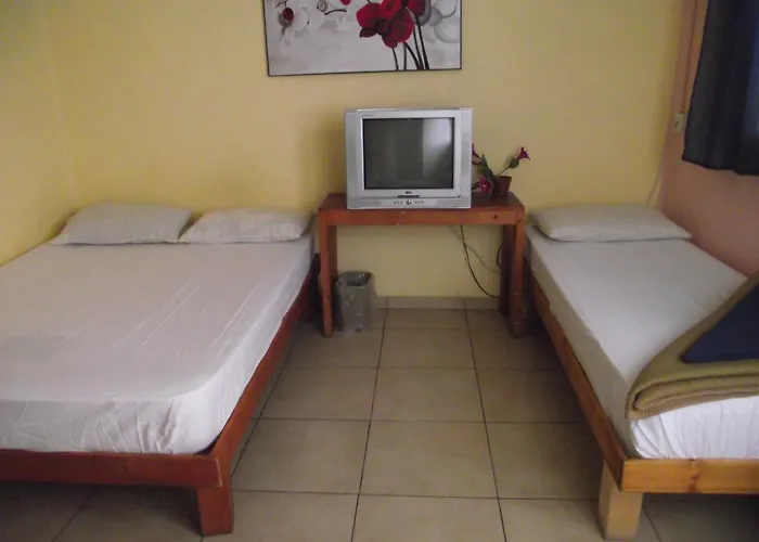 Hôtel accueillant les animaux: Hotel 28