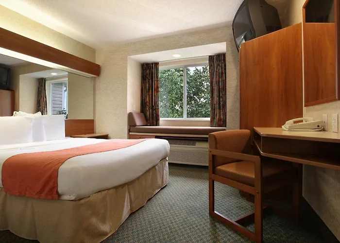 Pet Friendly hotel: Microtel Inn & Suites By Wyndham Brunswick