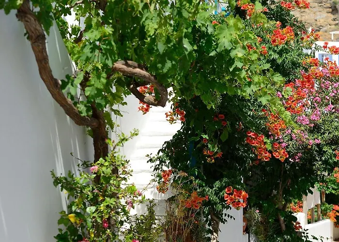 Hotel Nazos