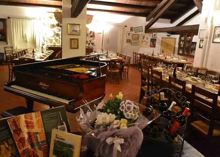 Le Vigne Del Conero