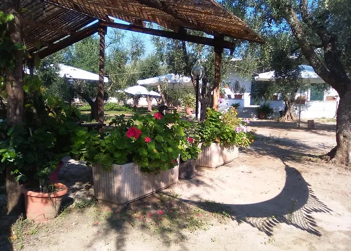 Fiorella