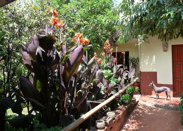 Kukuli Lodge B&B Cusco