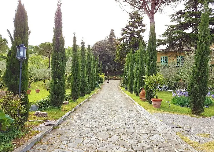 Hotel Ping Pong: Ulivi Di Castello