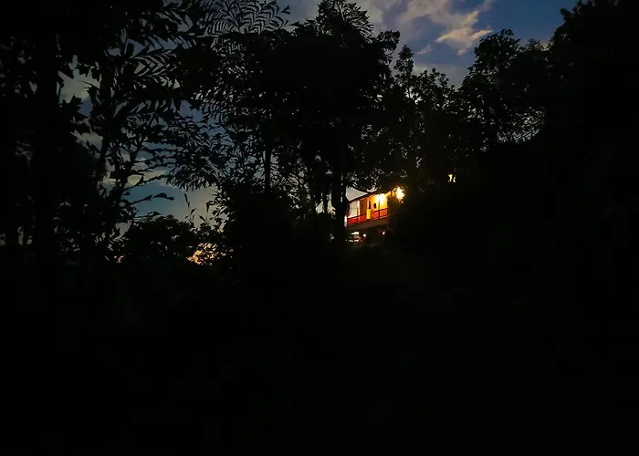 Finca San Rafael - Cafe Y Cacao