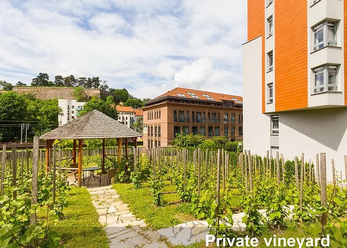 Albertov Rental Apartments