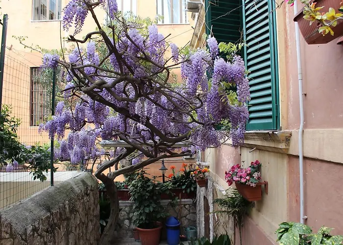 Pavia