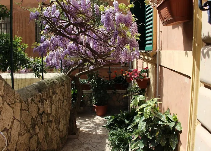 Pavia