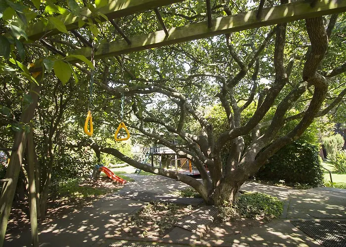 Cheap hotel: Cabana Suiza