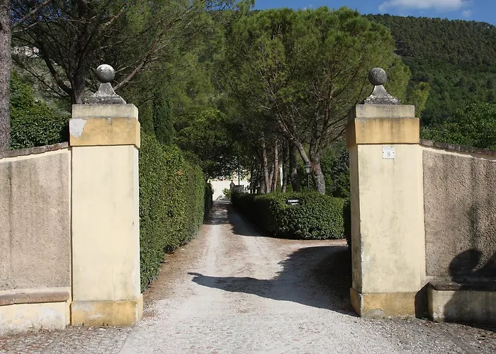 Del Cardinale