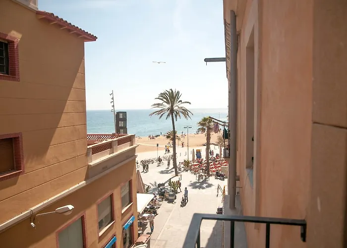 Trip to College Barcelona Beach s